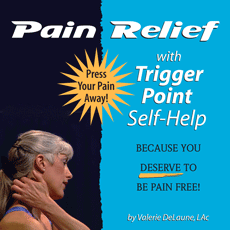 The Trigger Point Therapy Workbook Pain Relief CD ROM