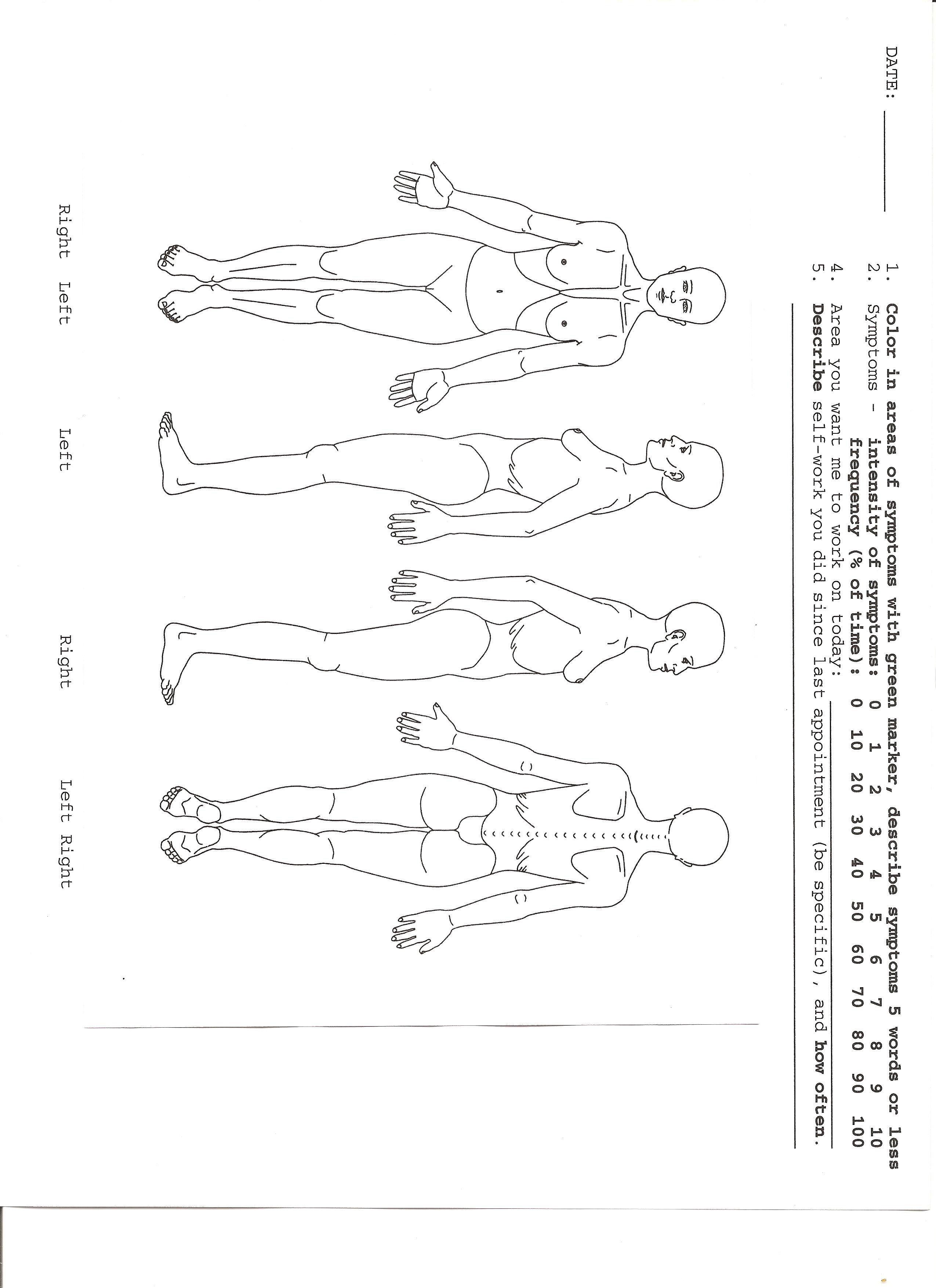 Blank Body Chart - FREE DOWNLOAD - Aashe